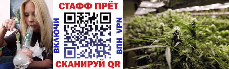 МЕФ Елизаветинская