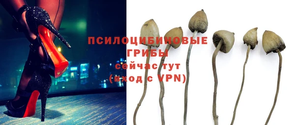эйфоретик Майский