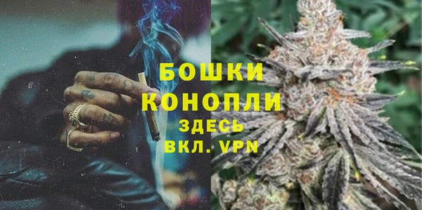 эйфоретик Майский