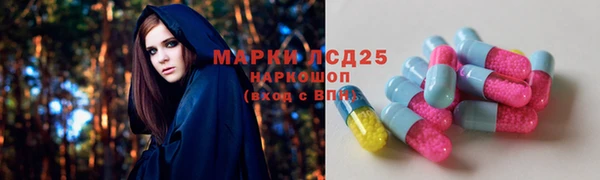 эйфоретик Майский