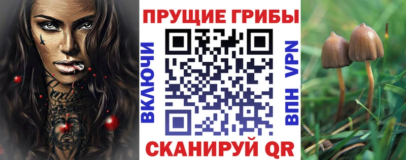 Галлюциногенные грибы мухоморы Купить закладки Елизаветинская