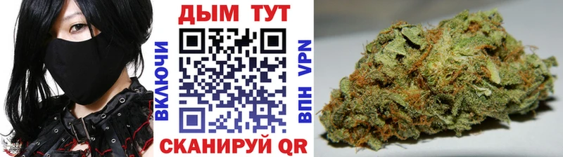 МАРИХУАНА Amnesia  Купить закладки  Елизаветинская 